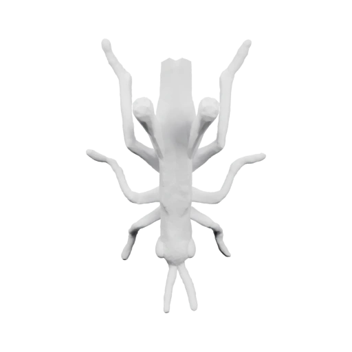 Ветвистый коралл