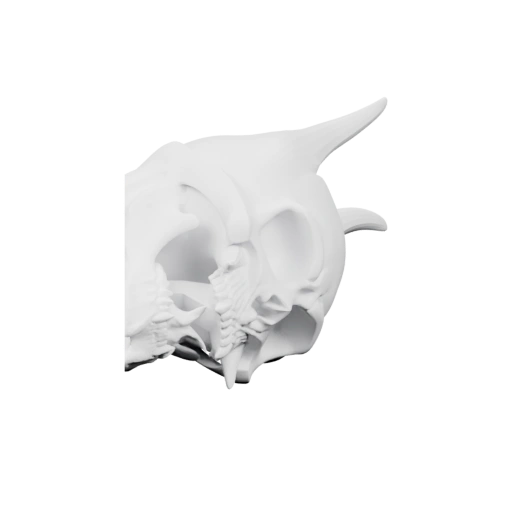 череп демона