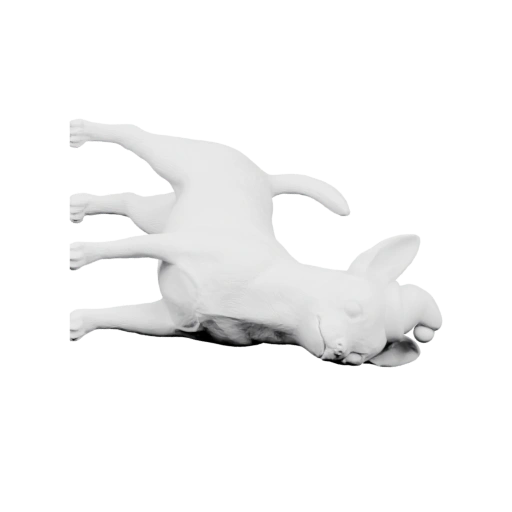 Собака Санта