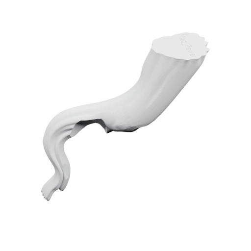 Изогнутая кость