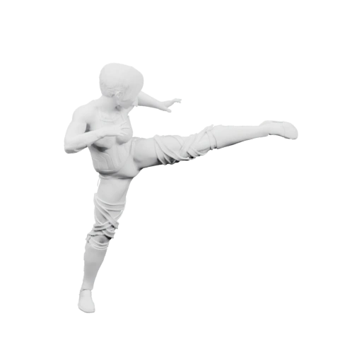 Человек в боевой стойке