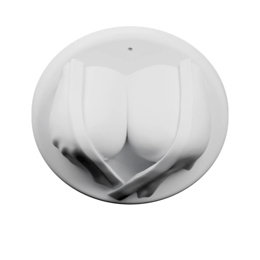 Округлая форма с двумя выпуклостями