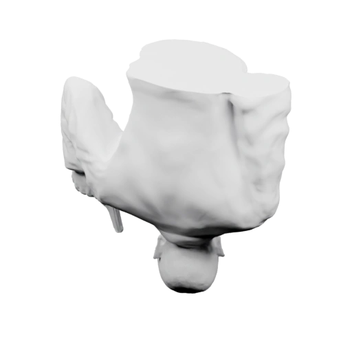 Бюст с характерными чертами