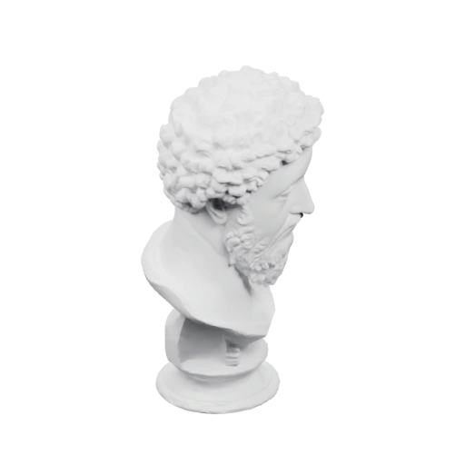 Бюст мужчины с курчавыми волосами и бородой