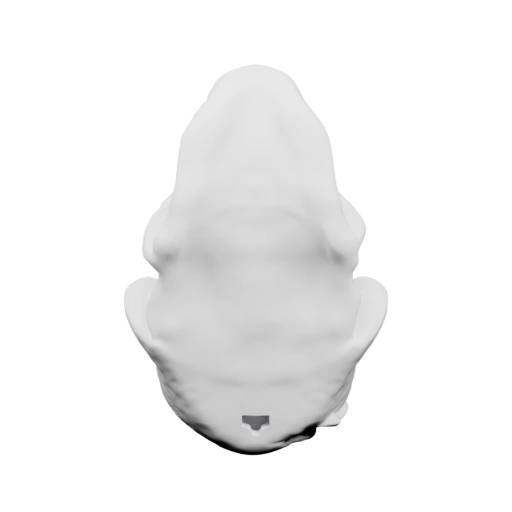 Голова с открытым ртом и глазницами