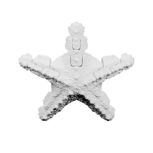 Гибкая морская звезда-1