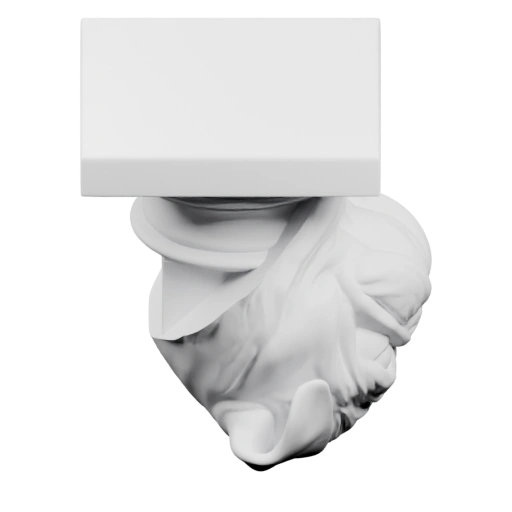 Голова пуделя с выражением