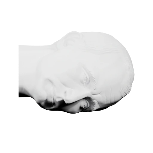 Голова в профиль, с выражением лица