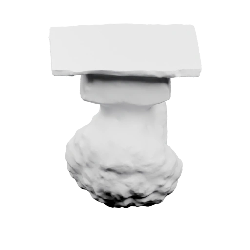 Гриб с широким куполом и шляпкой