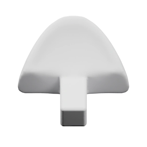 Гриб с округлой шляпкой