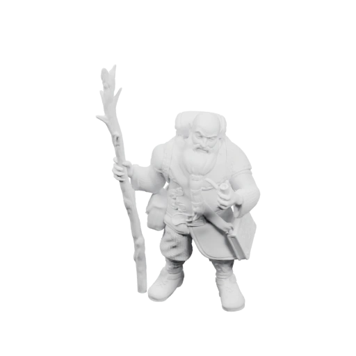 Дворф с посохом и магическим артефактом