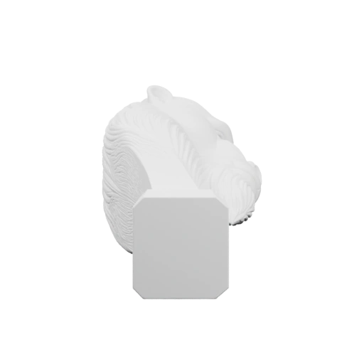 Голова обезьяны с характерными чертами