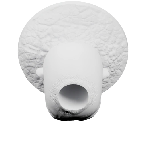 Голова с текстурой и отверстием