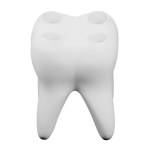 Форма человеческого зуба