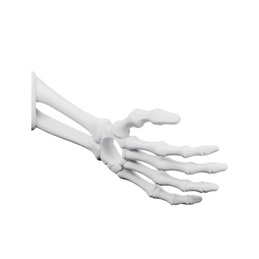 человеческой руки