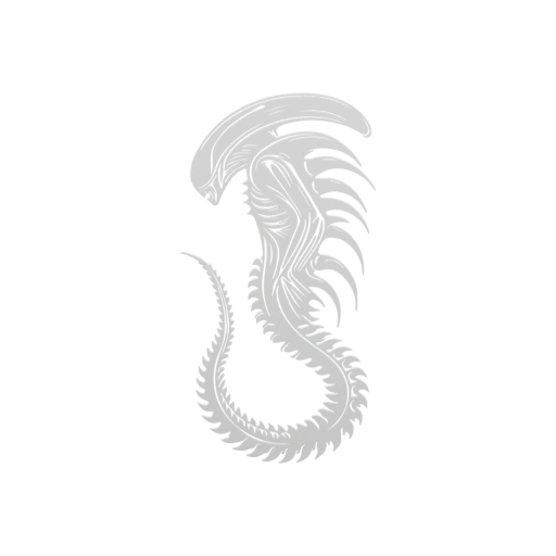 Структура черепа