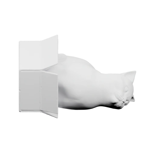 Кот спит в открытом ящике