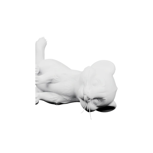 Кот лежит на спине с поднятым хвостом