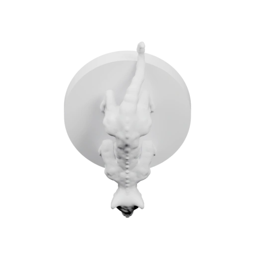 Кот в позе, как будто висит