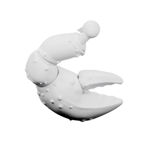 краба с клювом