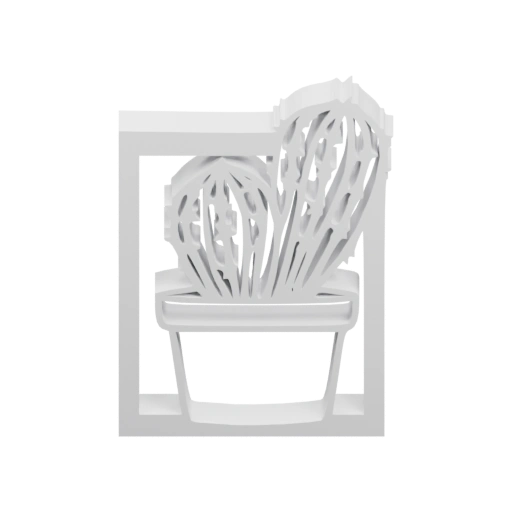 Кactus в кадре