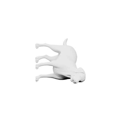 Собака лежит на спине