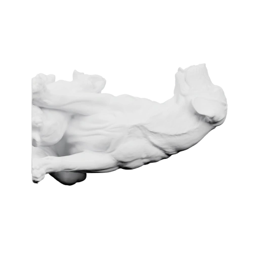 Собаки в динамичной позе