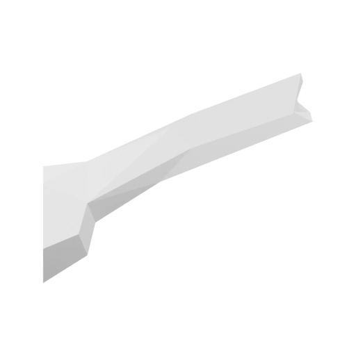 Левая передняя лапа добермана