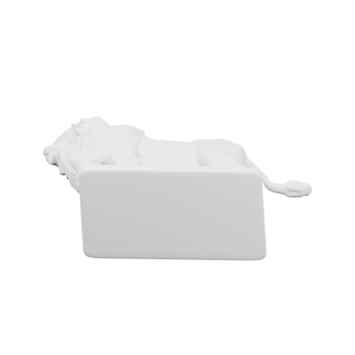 Лев в спокойной позе