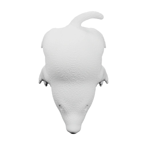 Лисичка в позе сидения