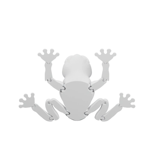 Скелет лягушки в стиле 3D