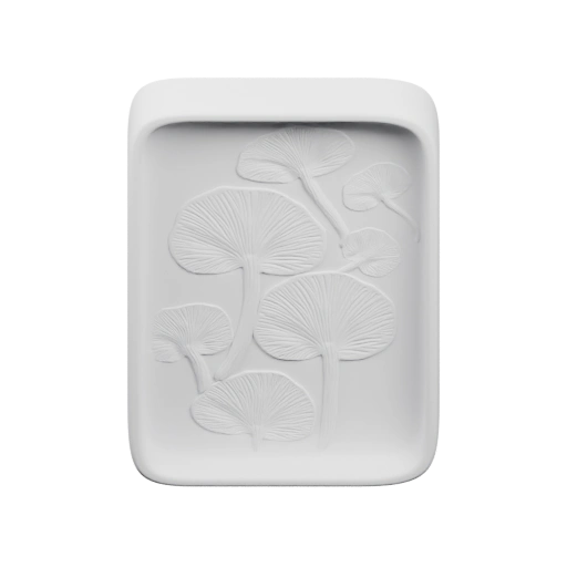 Два гриба с плавными формами