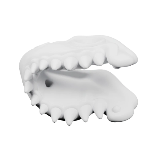 человеческих зубов