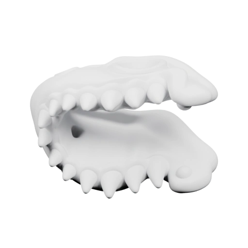 человеческой челюсти