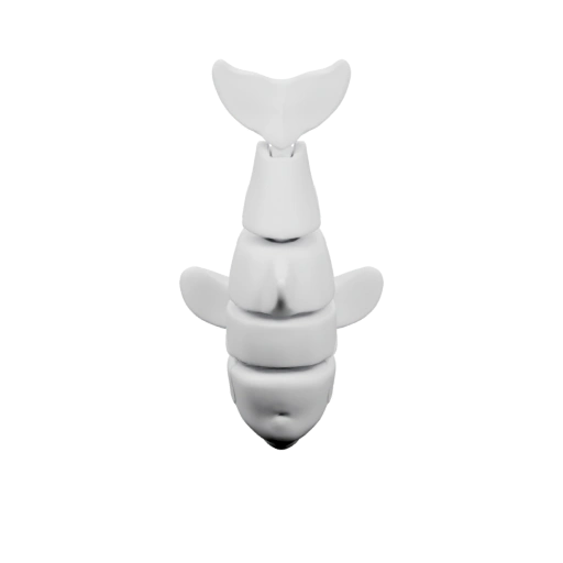 Структура позвоночника