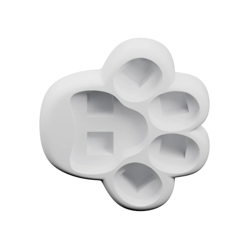 Форма лапы животного