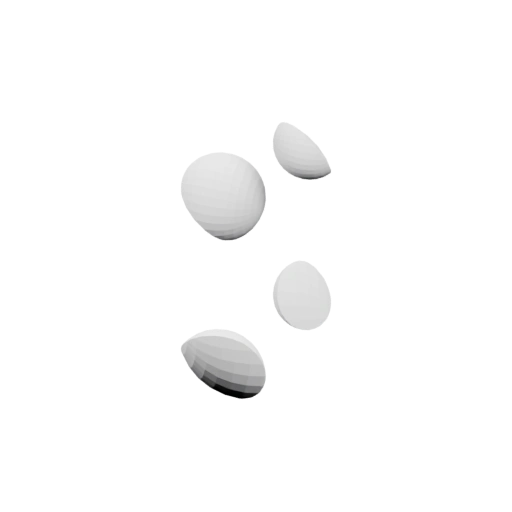 Морские раковины