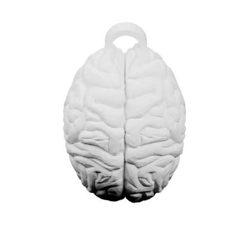 Мозг в форме ключа