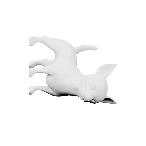 Лежит на спине, вытянув лапы