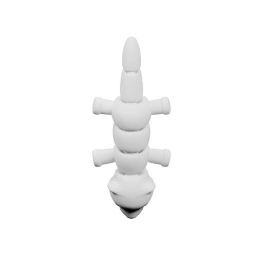 Симметричный морской лисицей