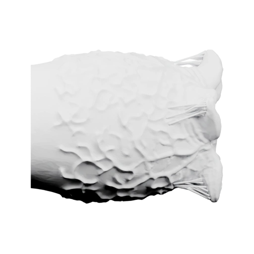 Форма рыбы с чешуей