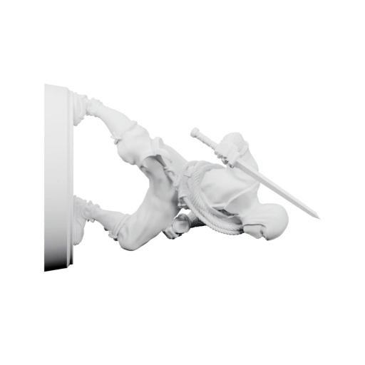 Ниндзя в боевой позе