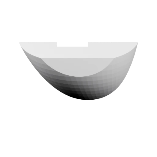 Нижняя часть тела милой акулы