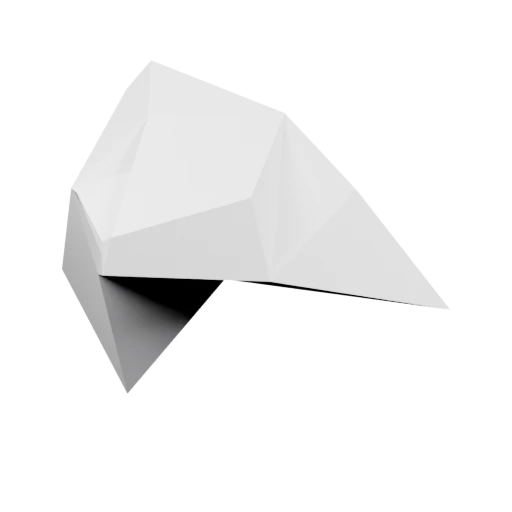 Передняя правая лапа добермана