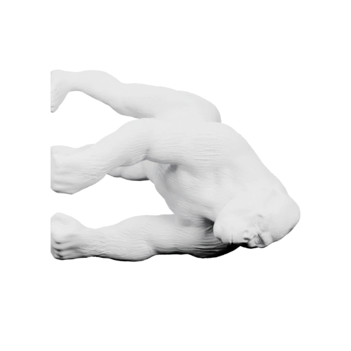 Лежит на спине, развернутый