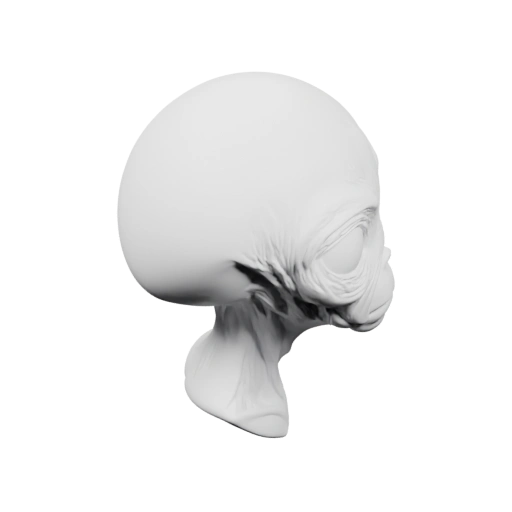 Голова с крупным глазом и изогнутым черепом