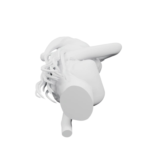 Бюст с характерными чертами