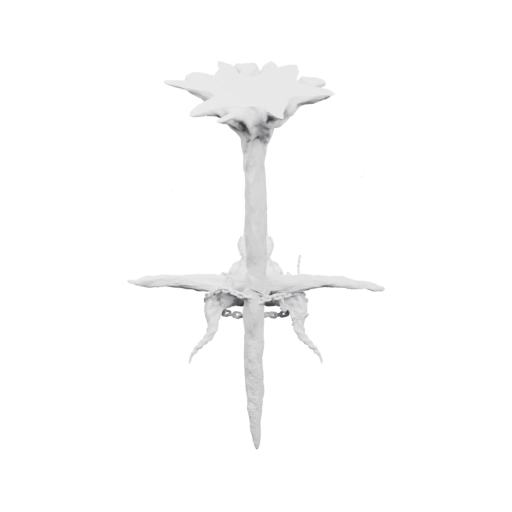 Символ смерти, стилизованный под древний ритуал