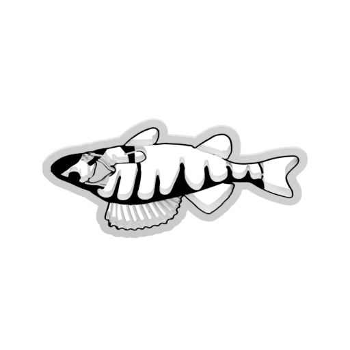 Стилизованная рыбка с текстом