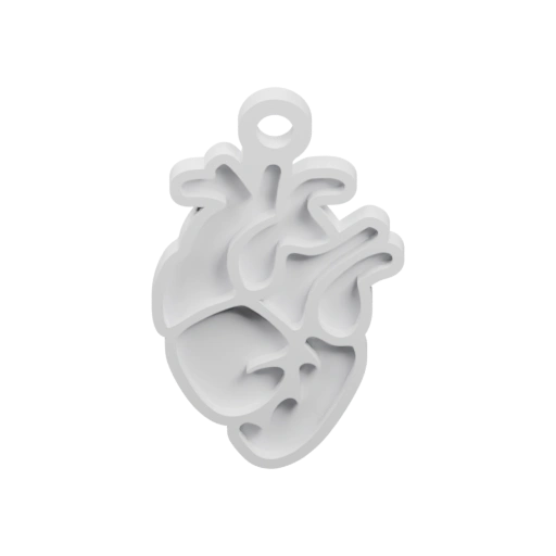 Структурированная модель сердца